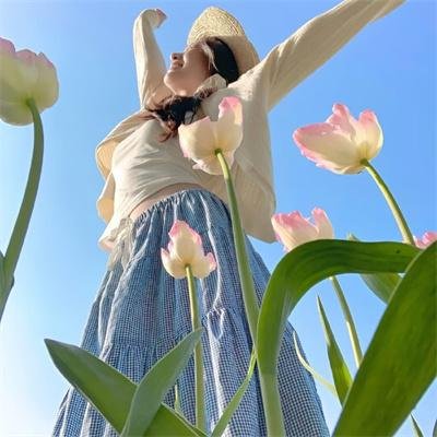 神仙岛封面